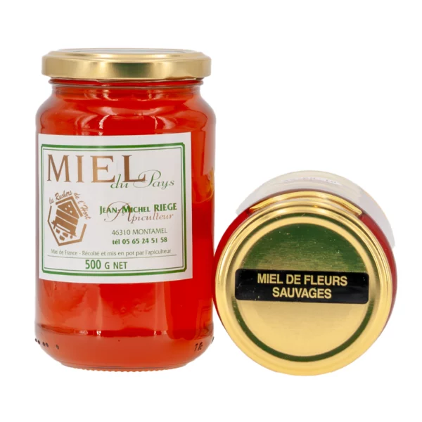 Miel Fleurs du Causse du pays