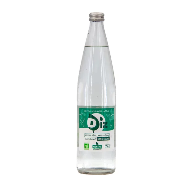 DIZ boisson GAZEUSE menthe