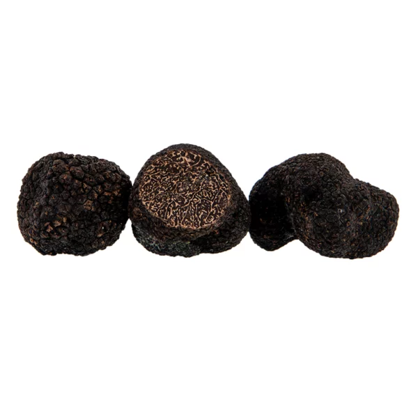 Truffe Fraîche EXTRA tuber Melanosporum - 100 gr