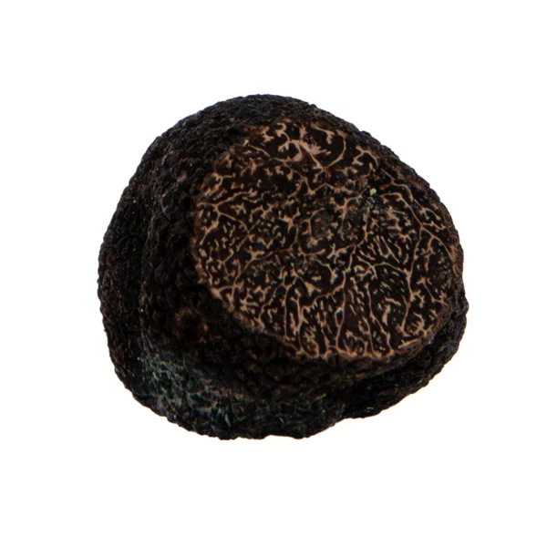 Truffe Fraîche tuber Melanosporum - 20 gr