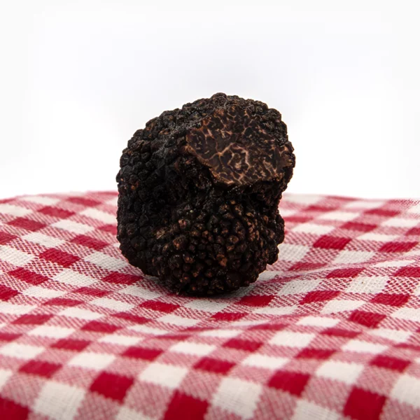 Truffe Fraîche MORCEAUX tuber Melanosporum - 20 gr